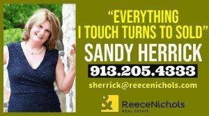 Sandy Herrick-ReeceNichols – Blue Valley Specialist