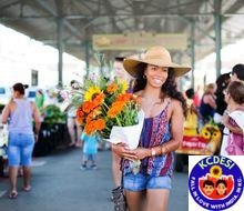 Lonely Planet: KC Among Best Weekend Getaways Across the USA